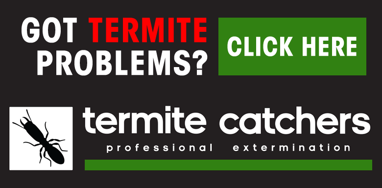 Termite Catchers