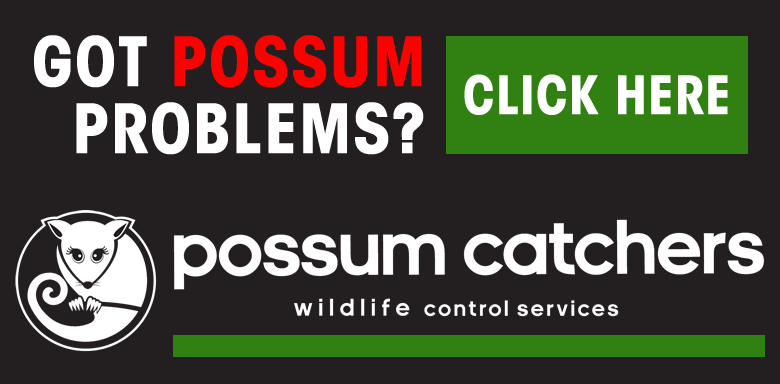 Possum Catchers